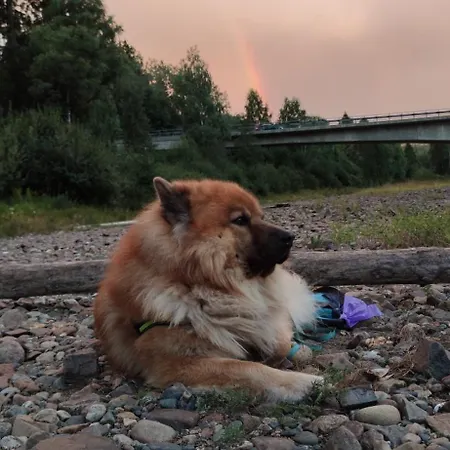 Relaxing Holiday home Svarstad (Vestfold)